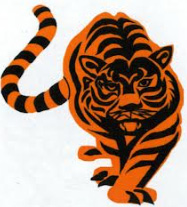 Stivers Tiger