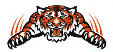 Stivers Tiger